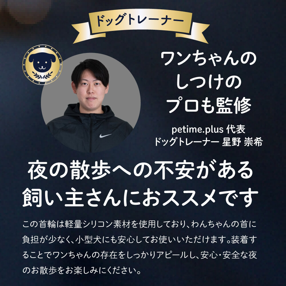 犬専用 USB充電式LED光る首輪