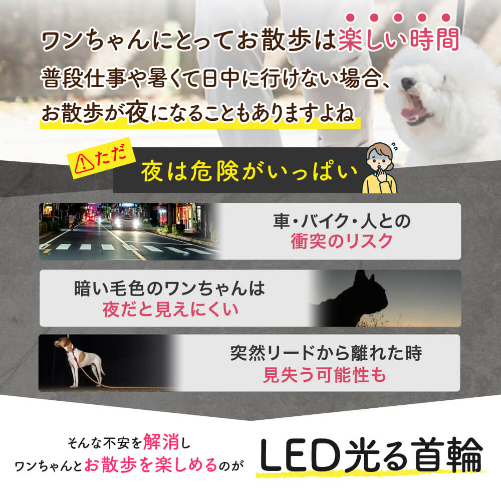 犬専用 USB充電式LED光る首輪