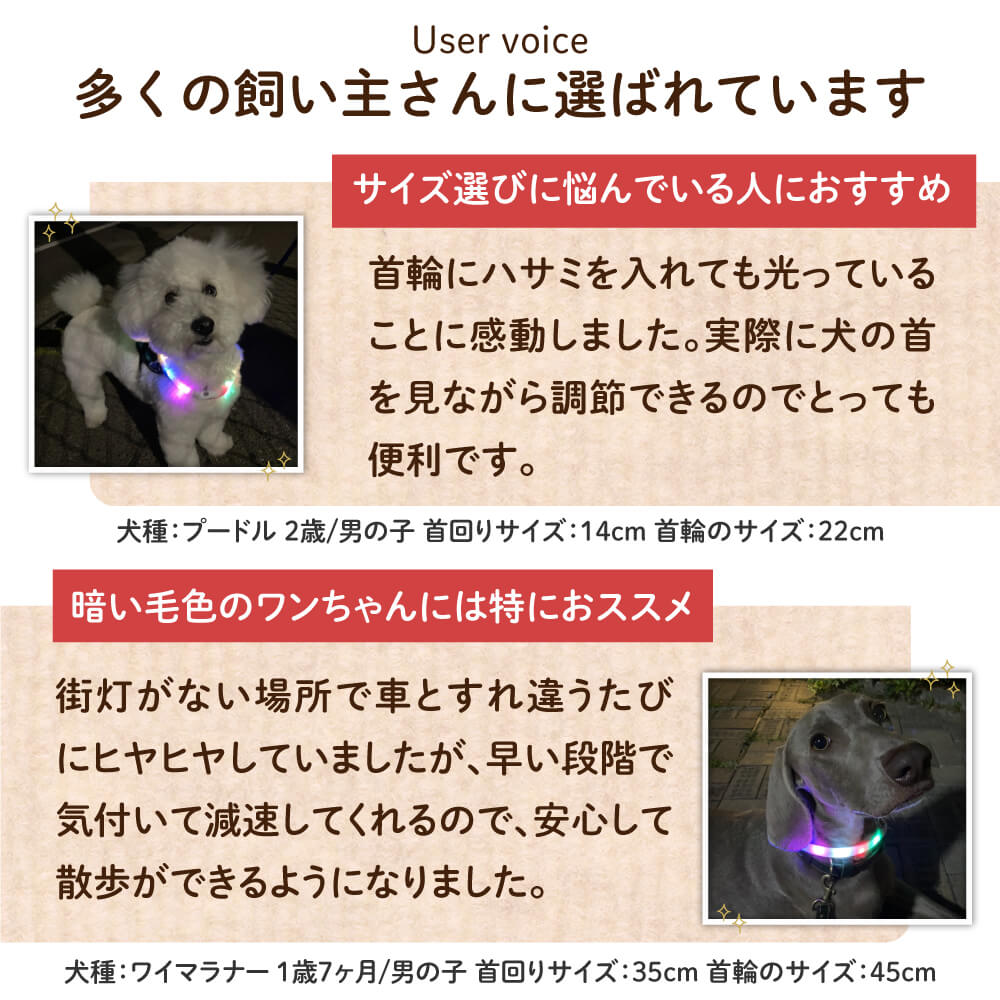 犬専用 USB充電式LED光る首輪