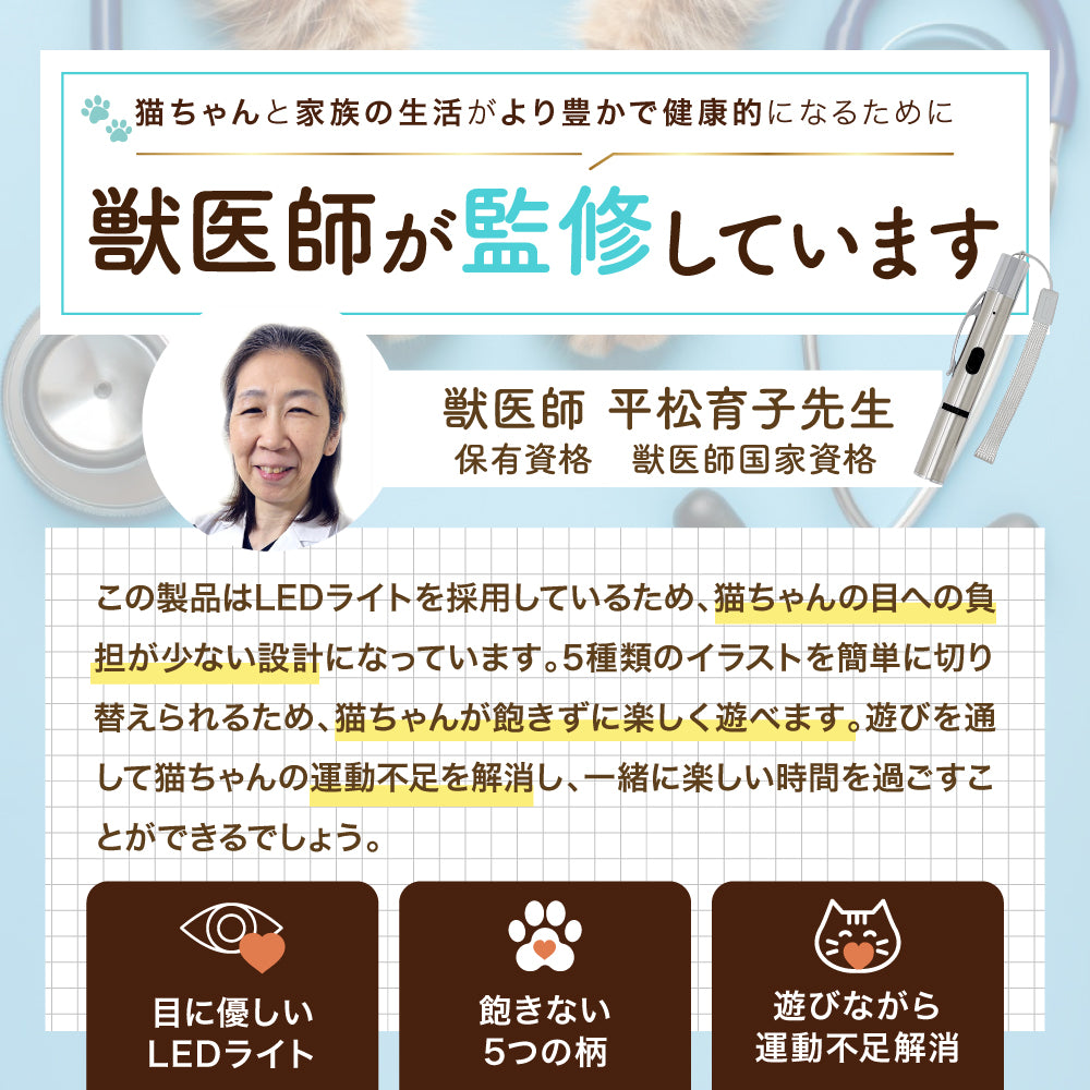 【獣医師監修】 LED猫ポインター