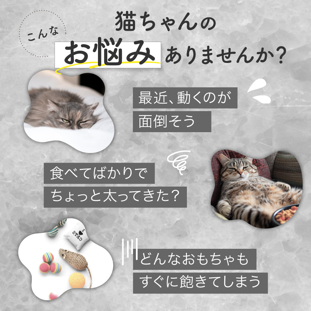 【獣医師監修】 LED猫ポインター