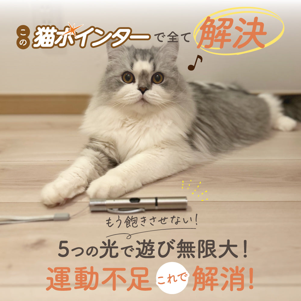 【獣医師監修】 LED猫ポインター