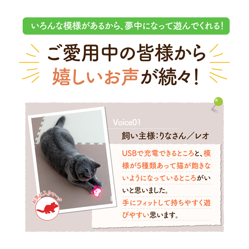 【獣医師監修】 LED猫ポインター