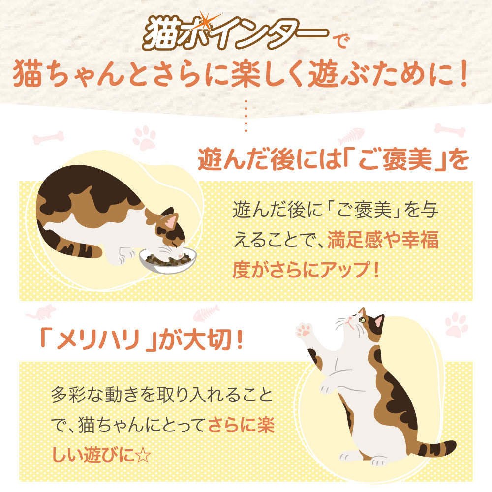 【獣医師監修】 LED猫ポインター