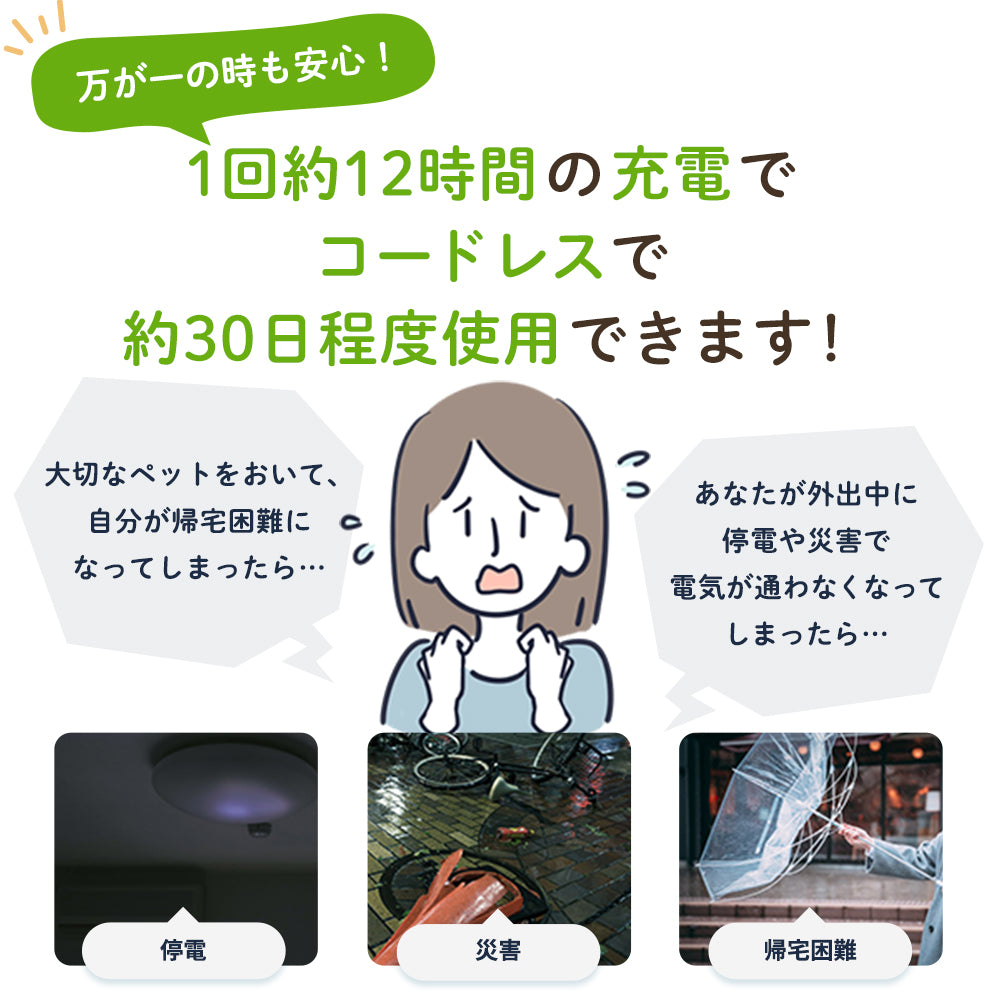 【獣医師推奨】 カリカリマシーンFR / 猫 犬 自動給餌器 ウェットフード対応