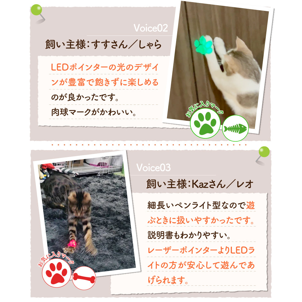 【獣医師監修】 LED猫ポインター