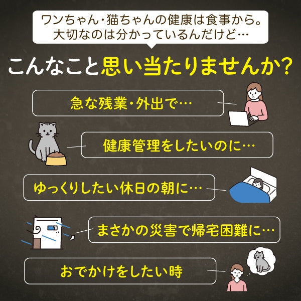 【獣医師推奨】カリカリマシーンV2 / 猫犬用タイマー式自動給餌器