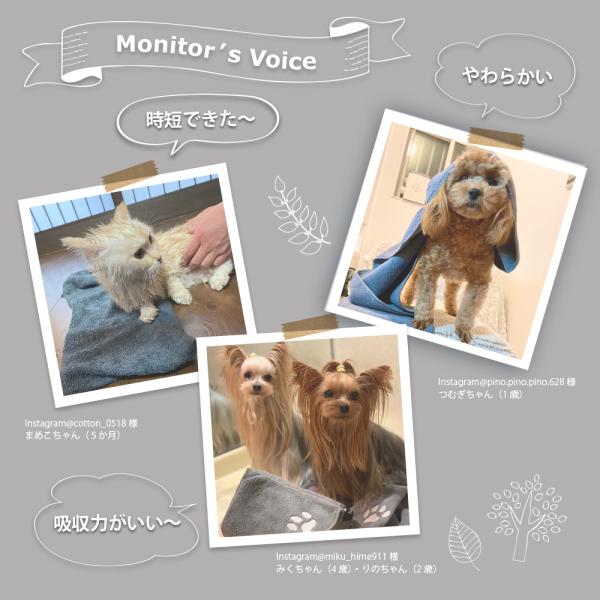 Taitto クイックドライ タオル