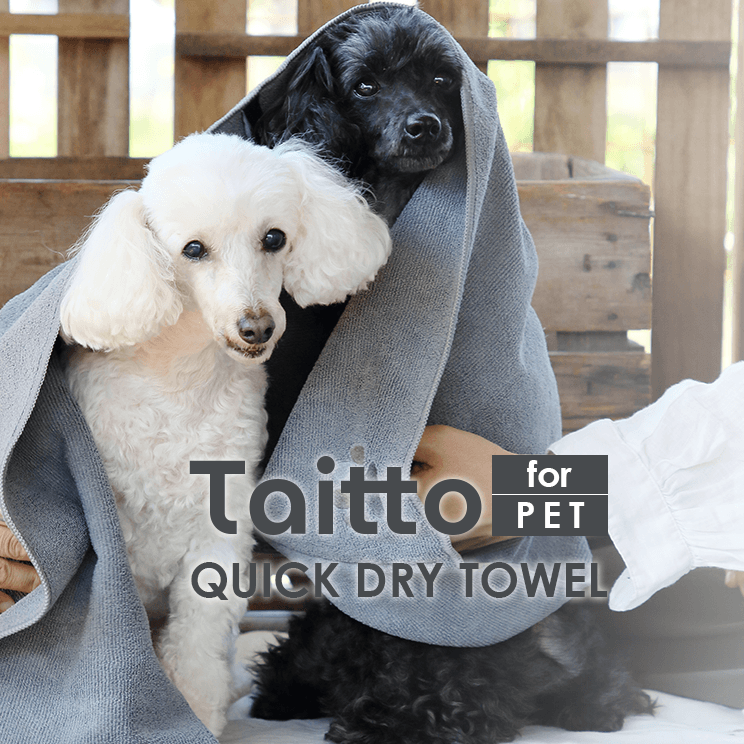 Taitto クイックドライ タオル