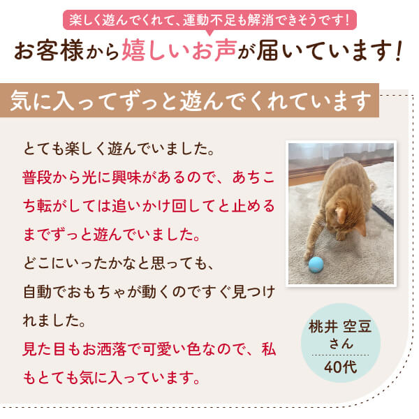 【獣医師監修】 球体自動猫じゃらし にゃんにゃんタマタマ