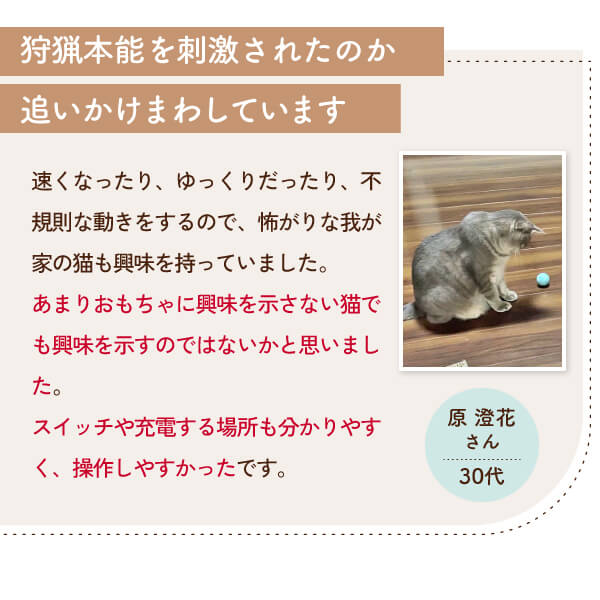 【獣医師監修】 球体自動猫じゃらし にゃんにゃんタマタマ