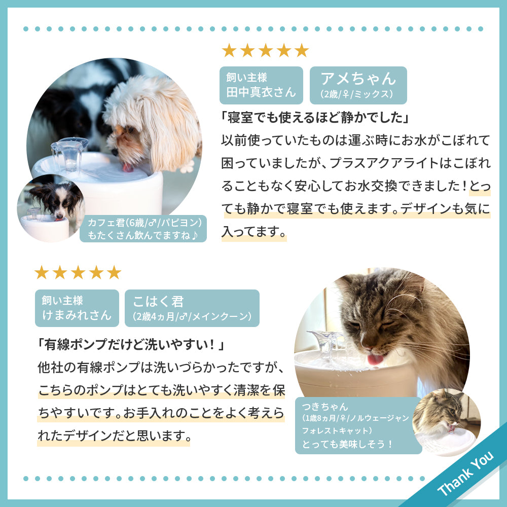 【新登場】猫・犬専用循環浄水給水器　プラスアクアライト