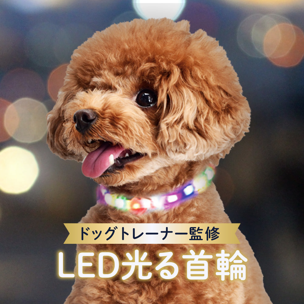 犬専用 USB充電式LED光る首輪